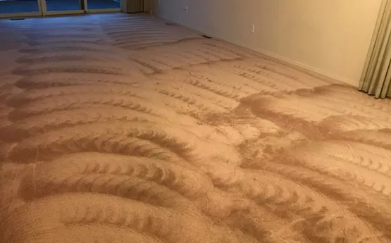 Freshly cleaned carpet with neat cleaning lines