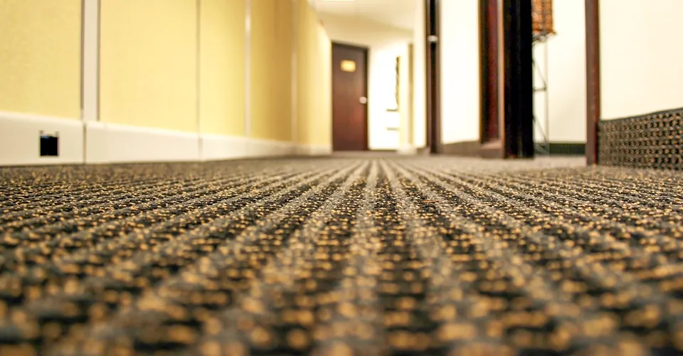 Fresh carpet in a bright commercial interior
