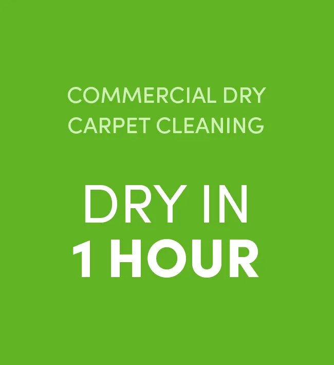 Original Eco Choice commercial dry carpet cleaning promotion: dry in 1 hour